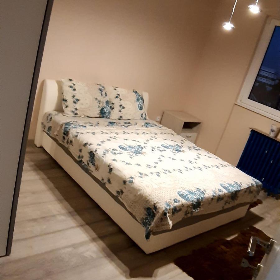 Lux Apartman Čačak 外观 照片