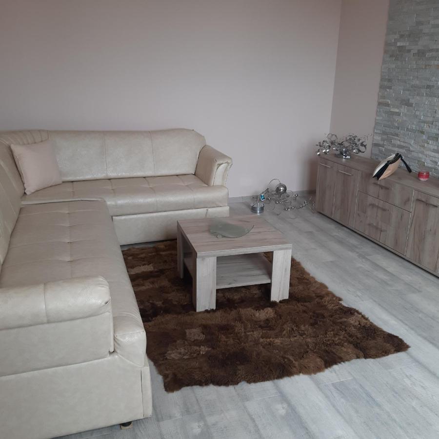 Lux Apartman Čačak 外观 照片